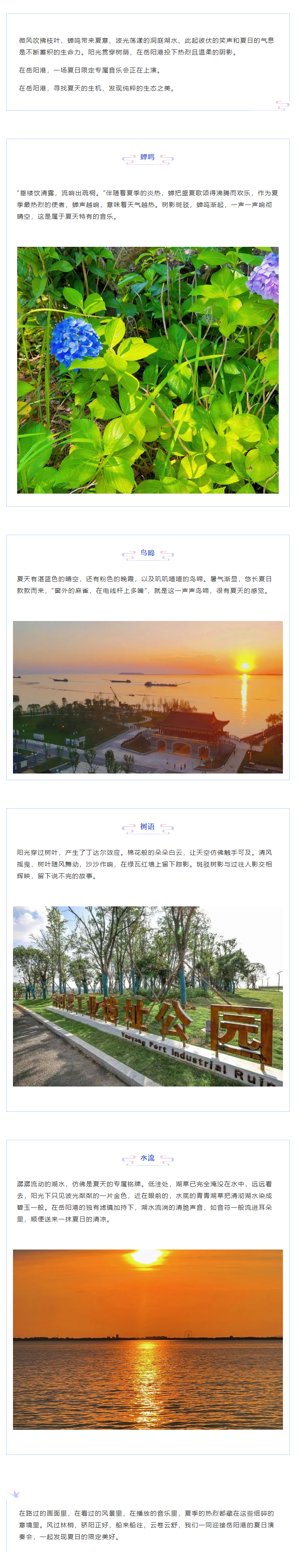 【夏日演奏會】在岳陽港，聆聽夏天的聲音.png